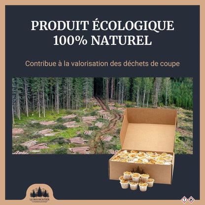 Cupcake Allumes-Feu Premium en Sciure de Bois pour Barbecue et Brasero