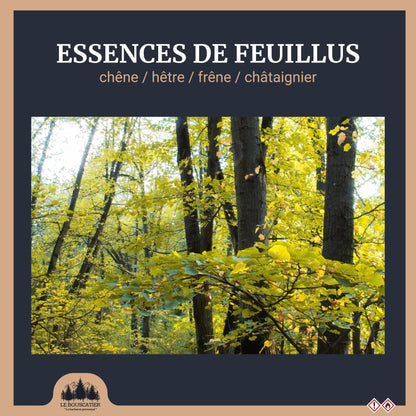 25 L-Bois de chauffage