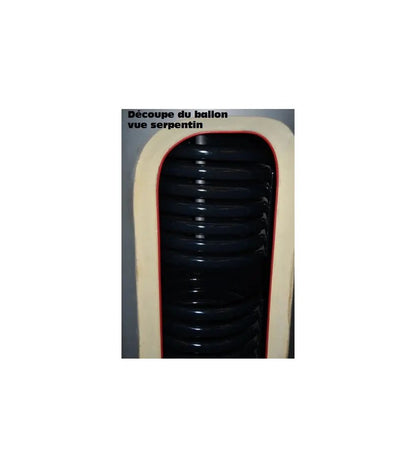 BALLON THERMO DYNAMIQUE 300 L SOLAIRE 1 ECH LABEL NF